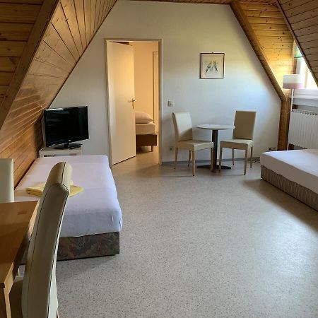 Gaestehaus An Der Rheinbruecke Altlussheim Εξωτερικό φωτογραφία
